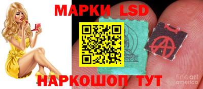 Альфа ПВП Моздок