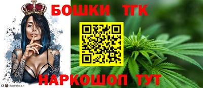 Альфа ПВП Моздок