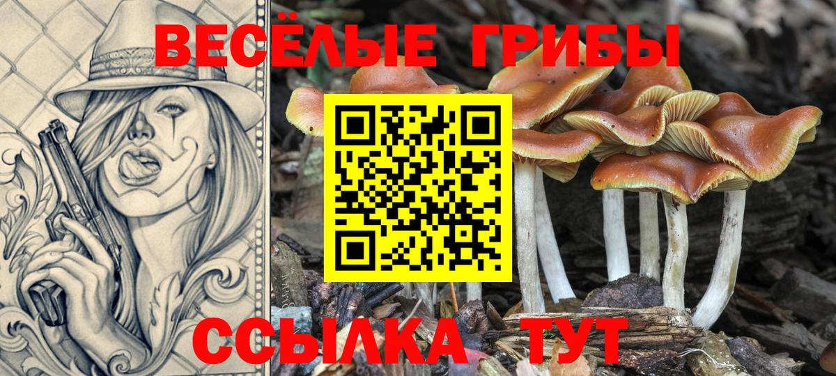 Чита  Псилоцибиновые грибы ЛСД  что такое   Вход с VPN  Галлюциногенные грибы MAGIC MUSHROOMS 